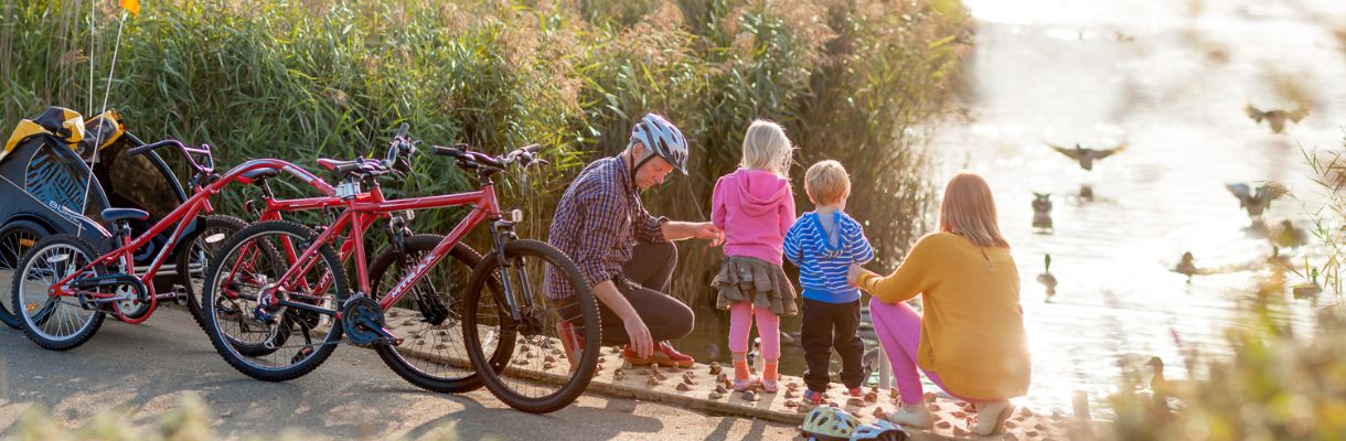 Family bike ride